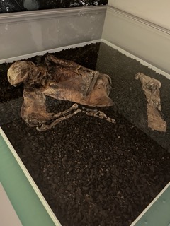 リンドウ・マン