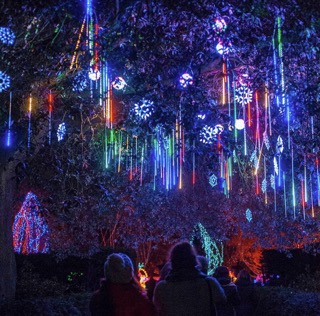 チェルシー・ウィンタービレッジ